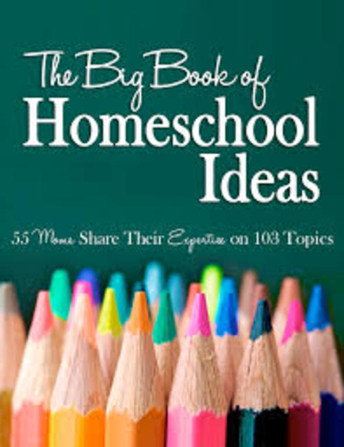 Product picture Schooled From Home?